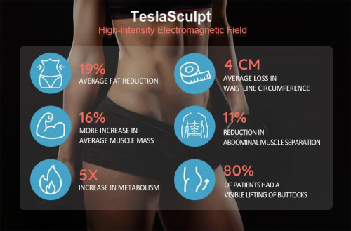 Аппарат электромагнитной миостимуляции Zimtech Teslasculpt Portable Electromagnetic Muscle